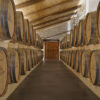Château Barre Gentillot Vieilles Vignes – Image 3
