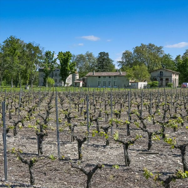 Château Pessan Saint Hilaire – Image 3