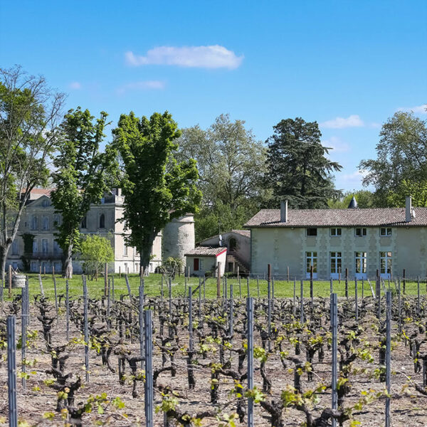 Château Pessan Saint Hilaire – Image 4